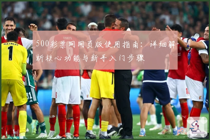 500彩票网网页版使用指南：详细解析核心功能与新手入门步骤