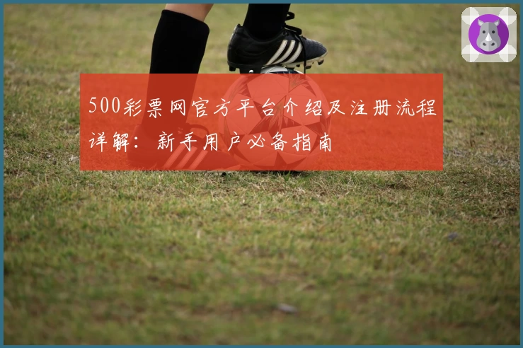 500彩票网官方平台介绍及注册流程详解：新手用户必备指南